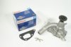 KLAXCAR FRANCE 42077z Water Pump